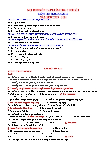 Tài liệu ôn tập kiểm tra cuối học kì I Tin học 11 - Năm học 2023-2024